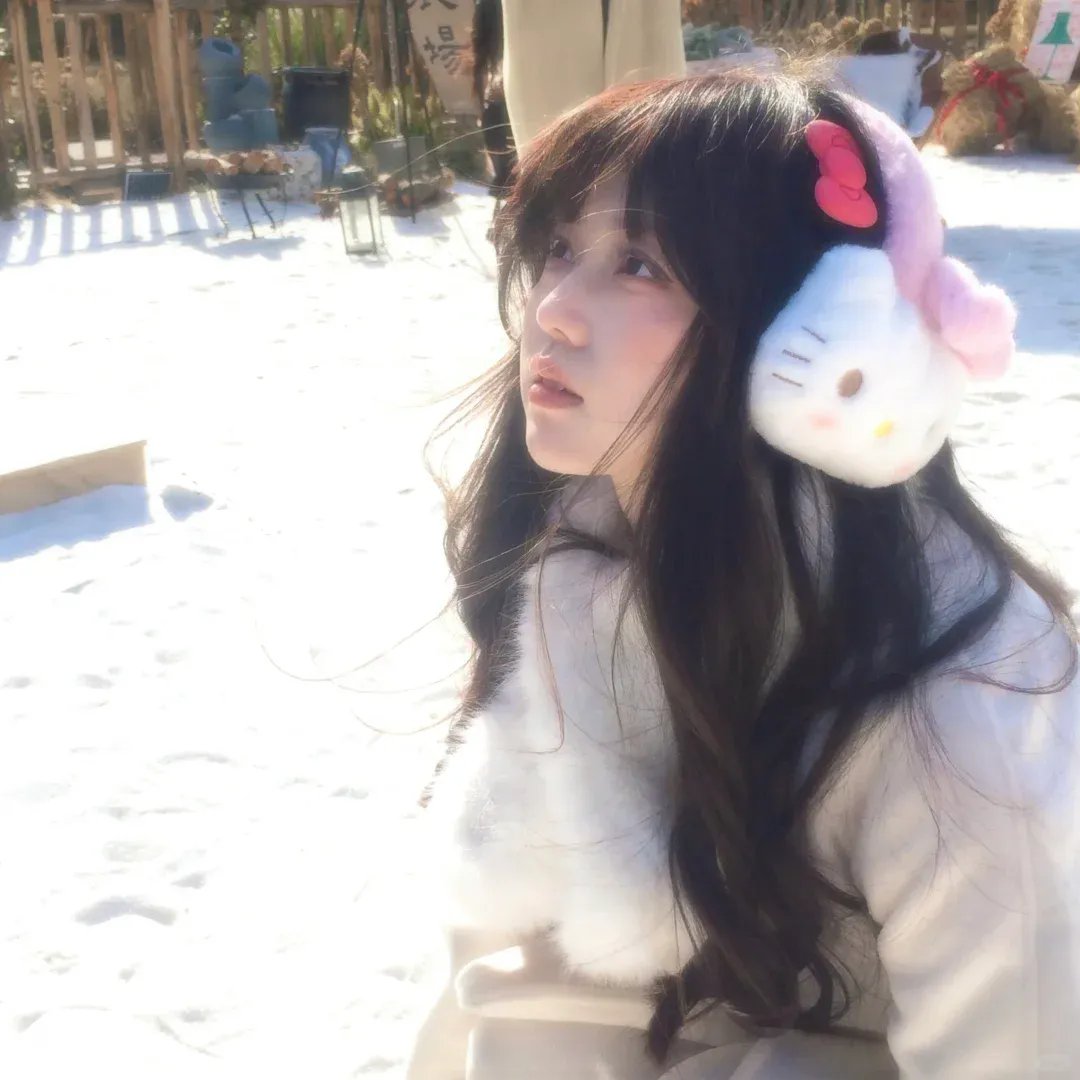 路德探长：落日之殇